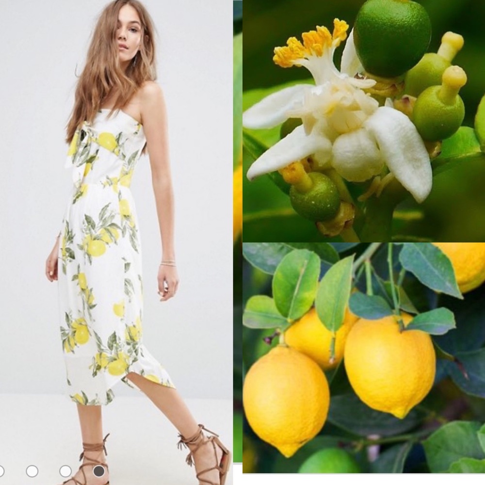 Moon River Bow Camisole Dress in Lemon Pri…